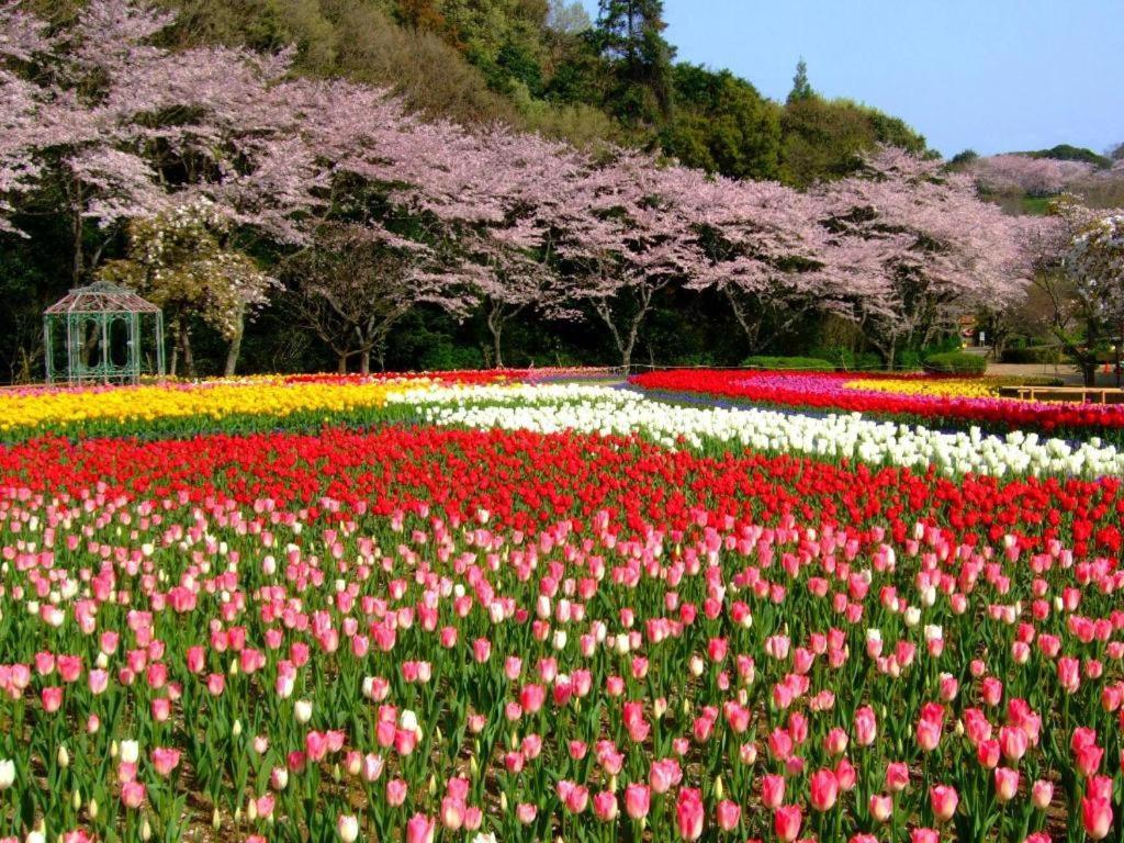 Izumigo Lake Hamanako Dog Paradise Hotel Hamamatsu Zewnętrze zdjęcie