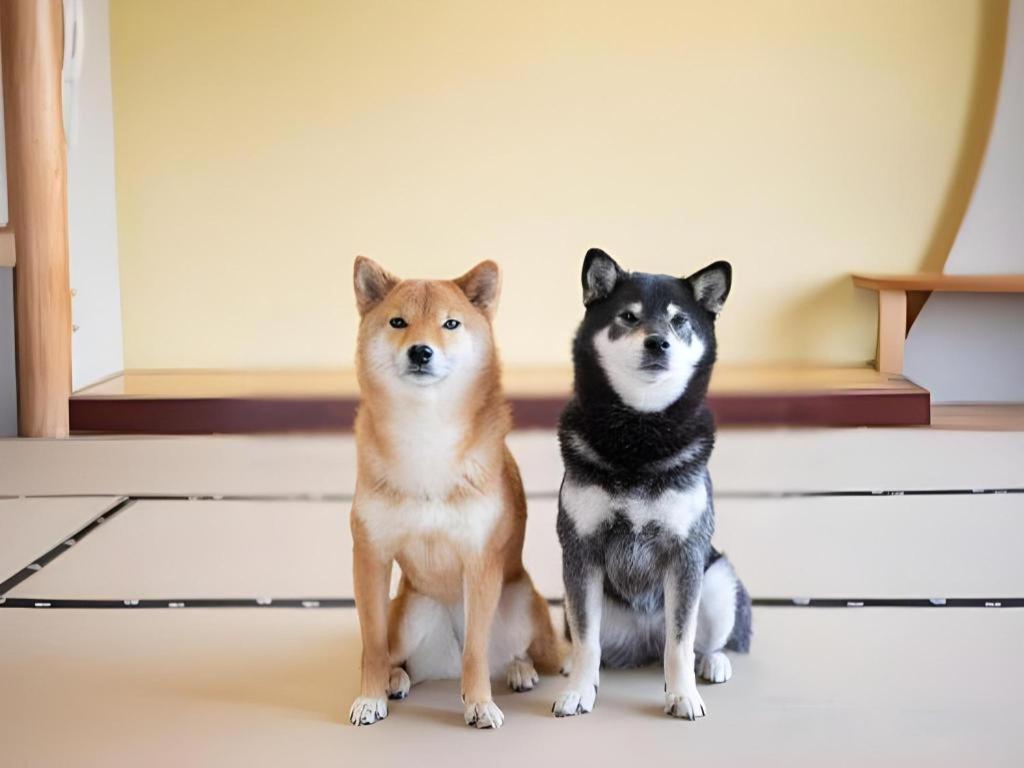 Izumigo Lake Hamanako Dog Paradise Hotel Hamamatsu Zewnętrze zdjęcie