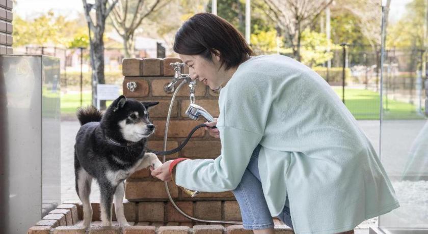 Izumigo Lake Hamanako Dog Paradise Hotel Hamamatsu Zewnętrze zdjęcie
